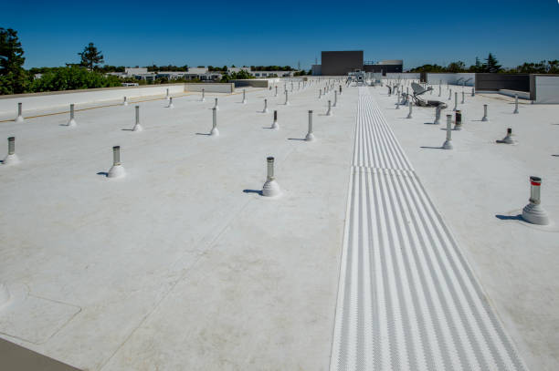 Best Flat Roofing  in North Palm Beach, FL